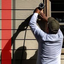 Best Custom Trim and Detailing for Siding  in Royal Oak, MI